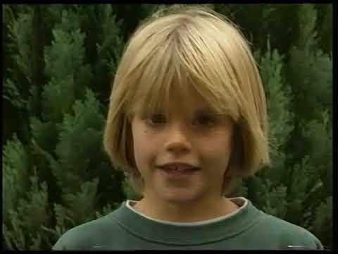 Bilderbuch Deutschland Ostfriesland