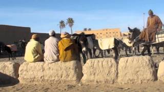 preview picture of video 'Rissani Donkey Market'