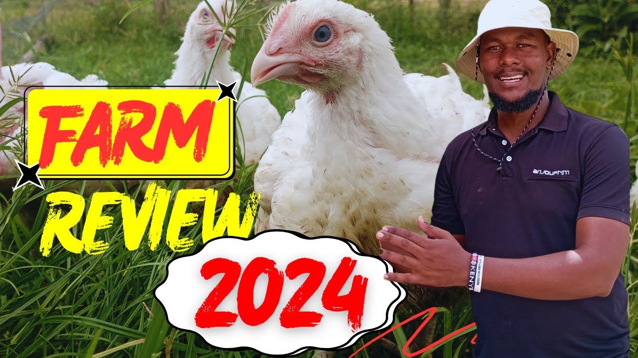 Reflecting on Our Poultry Farming Journey in 2024
