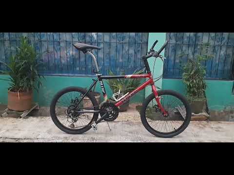 sepeda FEDERAL STREET FOX MTB VINTAGE 20 mini