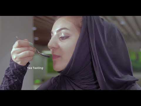 download lagu mp3 mp4 Spice Tea Lounge, download lagu Spice Tea Lounge gratis, unduh video klip Spice Tea Lounge