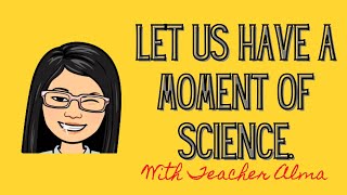 Basic Science Process Skills (with activity to answer)| Titser Alma