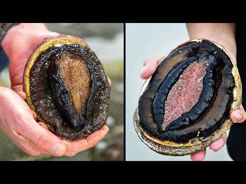 Bizarre Sea Creatures That Look (and Feel) Like Women Private Parts