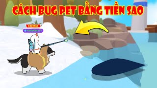 (Play Together) Cách Bug Pet Bằng Tiền Sao Nâng Cấp Thú Cưỡi Câu Cá Băng