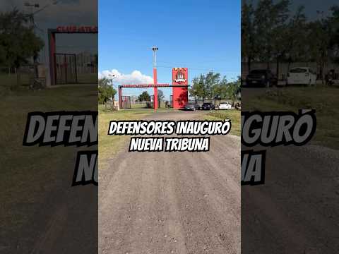 👉 La NUEVA TRIBUNA de DEFENSORES de ARMSTRONG #Shorts