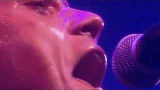 robbie williams - phoenix from the flames