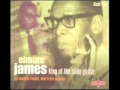 Elmore James - I'm Worried