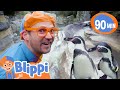 At The Penguin Zoo With Blippi Blippi And Meekah Best Friend Adventures Animal Videos For Kids