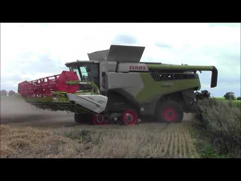 AL Lee & Sons Harvesting winter wheat. 2020