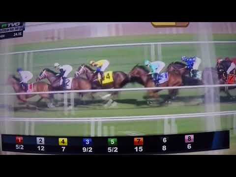 GULFSTREAM PARK TURF (G 1) STAKES 2/10/18 - HEART TO HEART !!!