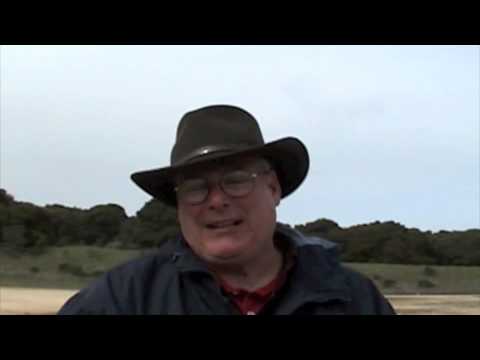 Albert E Stewart Solo