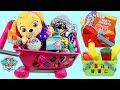PAW PATROL Pup Baby Skye Goes Shopping for Groceries!