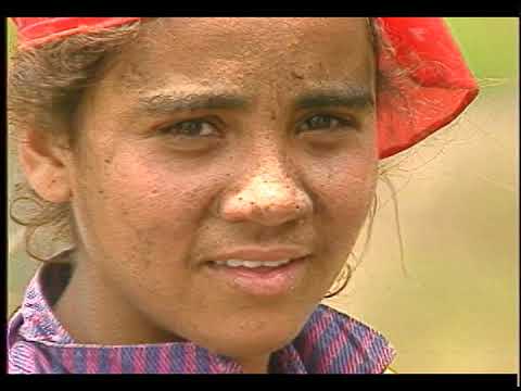 ERRADICAÇÃO DO TRABALHO INFANTIL  (1996)