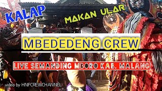 Download lagu Wayahe Wayahe-Turonggo Singo Joyo (Mbededeng Crew) live semamding mboro curungrejo mp3