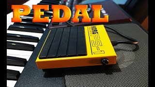 Video thumbnail for Increible Pedal para Korg - PEDAL SWITCH KORG PS-1 by Ministerio Dios de Proezas - Yabhe