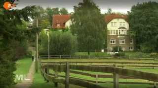 Täter und Opfer zugleich |  Sexuell übergriffige Kinder