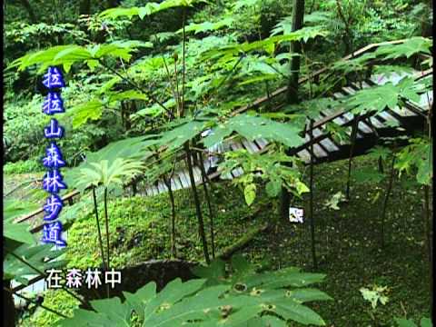 走在台灣的脊樑上-第017集  拉拉山森林步道