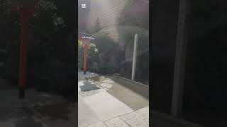 Download lagu 上尾駅隣の氷川神社の🌸🌸🌸 mp3 Download lagu 上尾駅隣の氷川神社の🌸🌸🌸 mp3