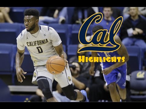 Jaylen Brown 2015- 2016 Cal Highlights - HD
