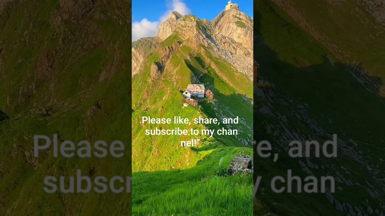 Nature Vibes#nature#naturelovers#naturephotography#wildlife