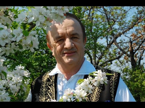 Stefan  Vlad -  "La  cârciuma  din  Topalu"  (geampara/cântec de petrecere şi voie bună)