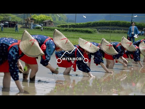 MIYAMOBI spring Chinese