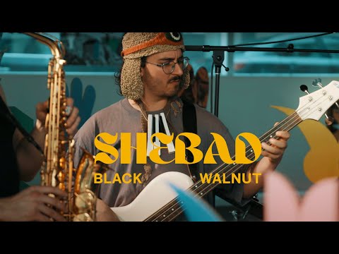 SHEBAD - Black Walnut (LIVE) - January in Bloom