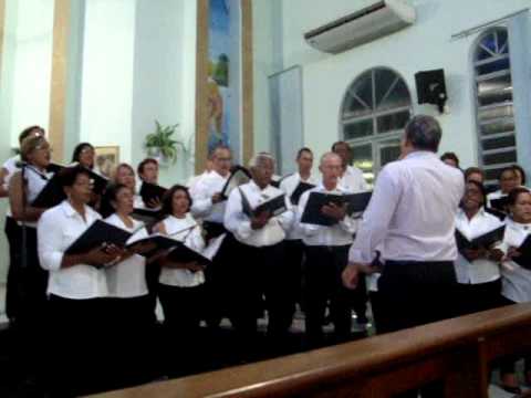 Cordeiro De Deus video