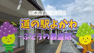 🍇道の駅よかわ~山田錦の館~