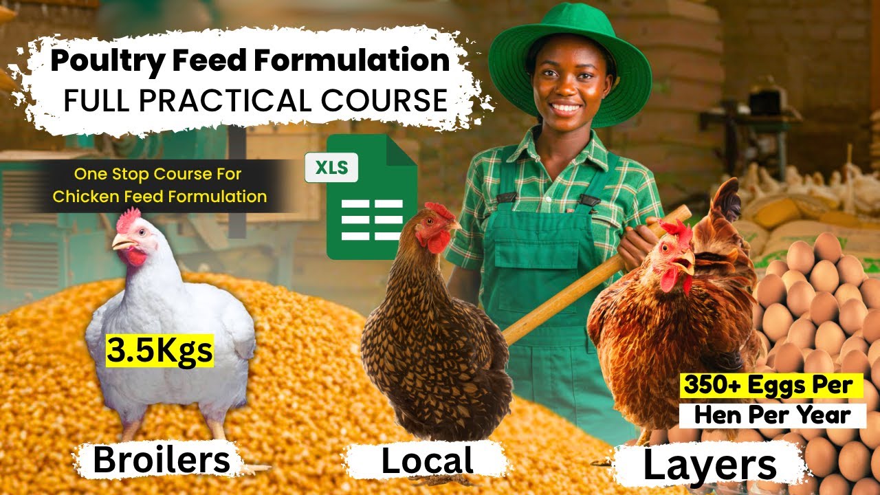 FULL POULTRY FEED FORMULATION COURSE (E-book + Formulation Software + Tutorials) - Broilers & Layers