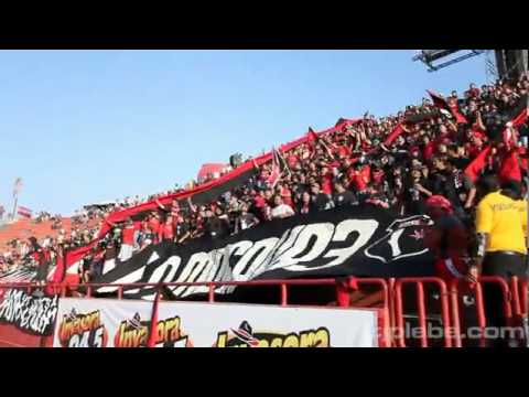 "Barra De Los Xolos De Tijuana" Barra: La Masakr3 • Club: Tijuana