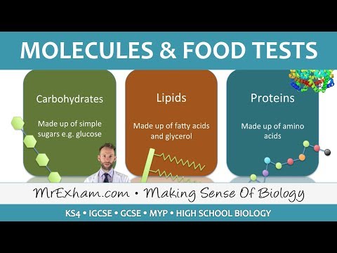 Molecules and food tests - GCSE Biology (9-1)