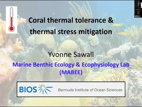 Coral thermal tolerance & thermal stress mitigation