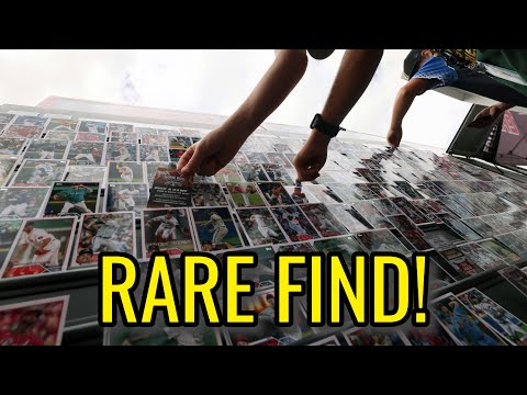Million Dollar Baseball Card Collection DISCOVERED
