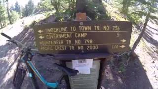 Shredding the Timberline to Town Trail.