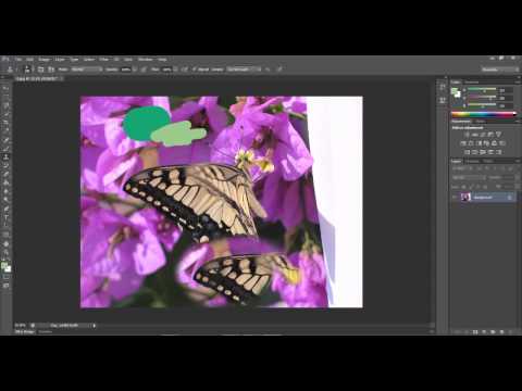 Kurs video Photoshop CS6 - Omówienie podstaw programu digital painting| market-wiedzy.pl