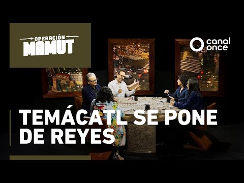 Operation Mammoth - Temacatl celebrates kings (04/01/2026)