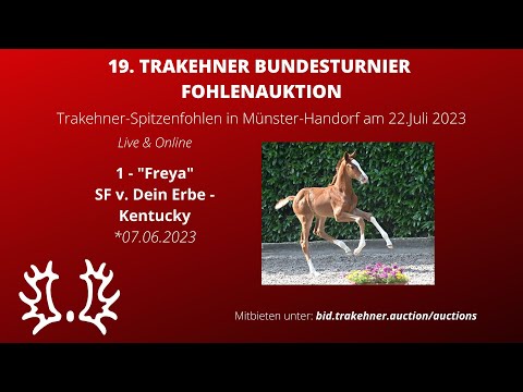 1 - Freya - SF v. Dein Erbe - Kentucky *07.06.2023