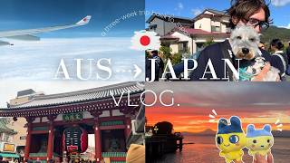 帰国Vlog ⁝ 2年離れて気づいた、日本の優しさと生きづらさ