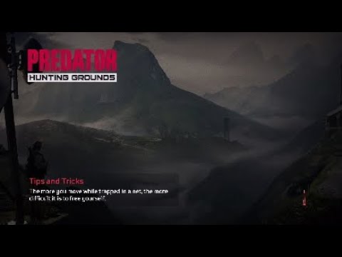 Predator hunting grounds-the salt desire the salty Toxic Tryhard