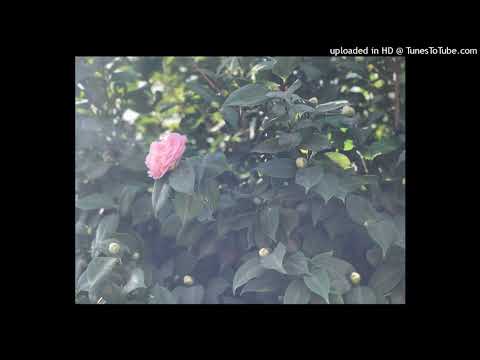 Lord Kae - In Regards To Myself (Prod. ICYTWAT)