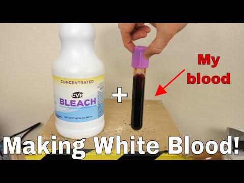 download lagu mp3 mp4 Bleach Blood, download mp3 Bleach Blood free downloadn, video klip Bleach Blood
