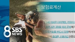 유튜브 썸네일