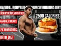 ANABOLIC FULL DAY OF EATING | Natural Bodybuilder 2500 Calorie Diet (IIFYM)