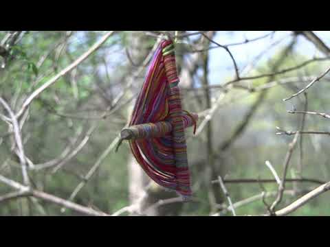 Green Action - The Wildlife Trust