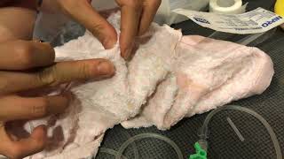 腎貓照護］如何組裝皮下點滴u0026實用小技巧u0026如何自行注射藥物-موقع ويب 