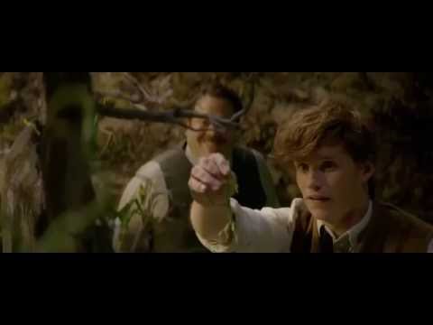 Fantastic Beasts and Where to Find Them - 29 Movie Clip Bowtruckle
