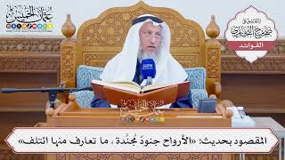 [1302] المقصود بحديث: «الأرواح جنودٌ مُجنَّدة، ما تعارف منها ائتلف» - عثمان الخميس