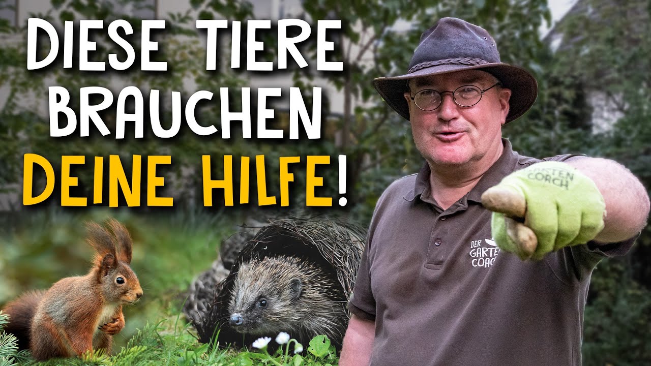 Gartengestaltung Video 4