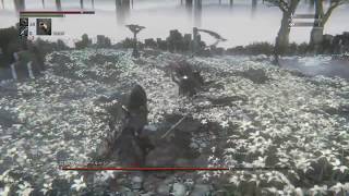 ホラー嫌いのブラッドボーン2周目#21